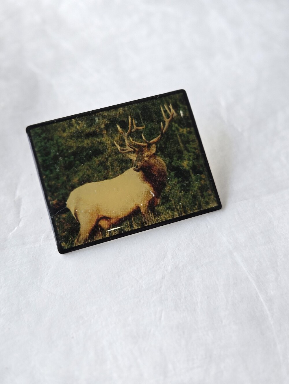 Bull Elk Lapel Pin Photograph Figural Hunter Pinback Costume Fashion Jewelry
